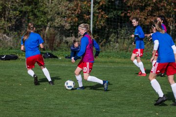 Bild 45 - B-Juniorinnen Hamburger SV - FC Neubrandenburg 04 : Ergebnis: 3:1